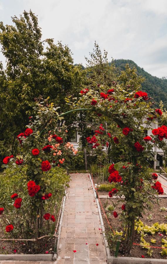 Vintgar Studio Bled Dış mekan fotoğraf