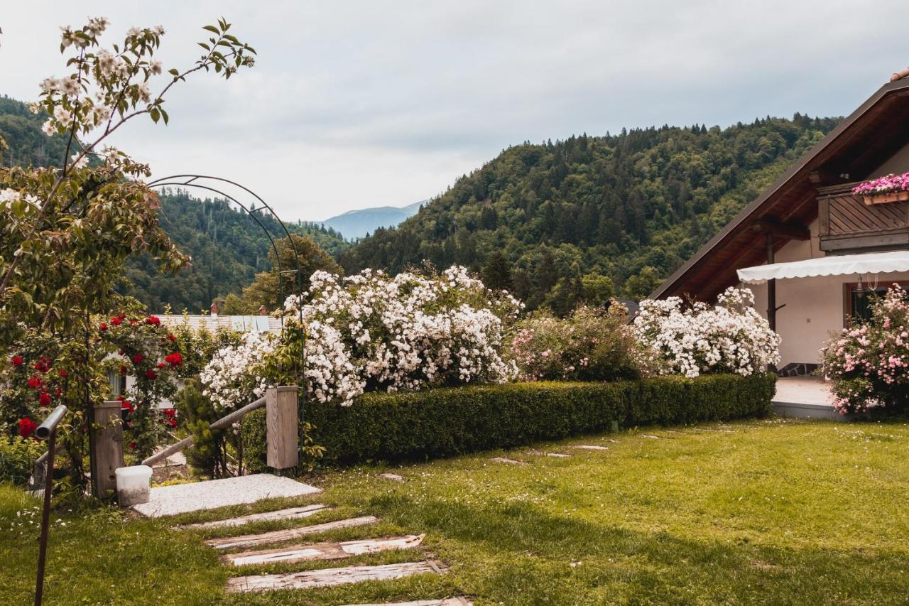 Vintgar Studio Bled Dış mekan fotoğraf