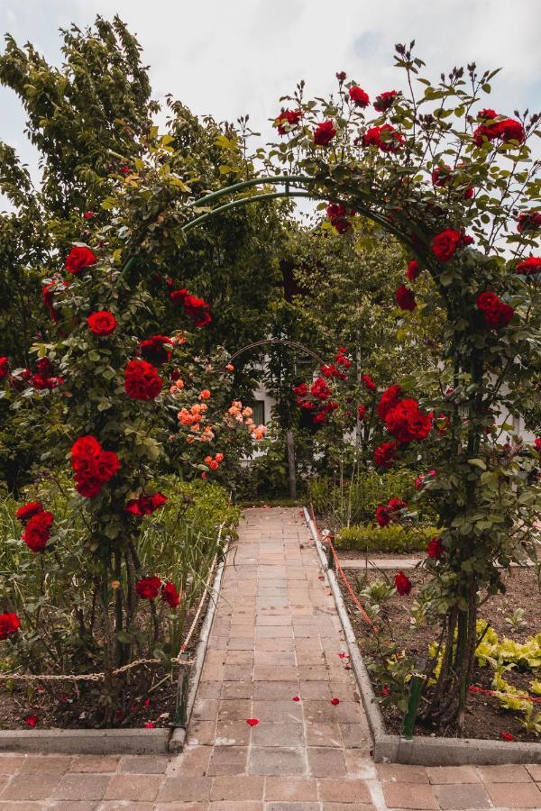 Vintgar Studio Bled Dış mekan fotoğraf